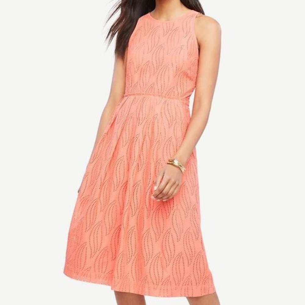 Eyelet Swirl Midi Dress - Ann Taylor